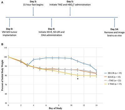 Nontoxic Targeting of Energy Metabolism in Preclinical VM-M3 Experimental Glioblastoma